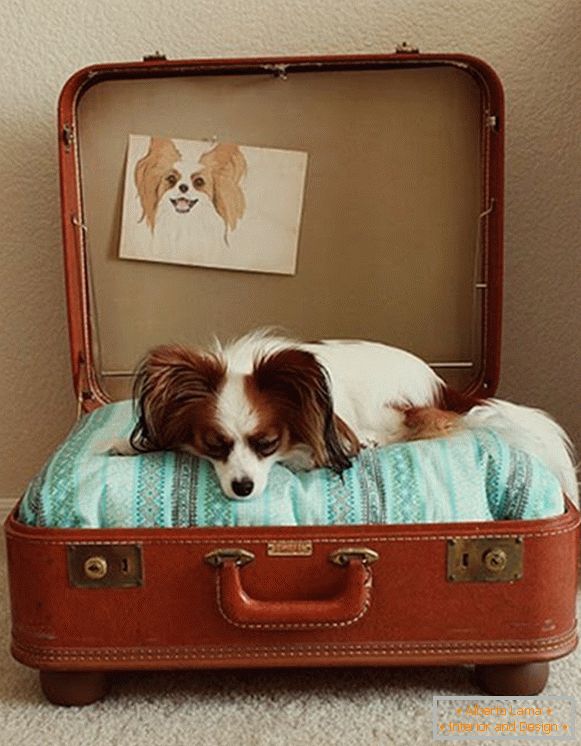 Място за куче от куфар