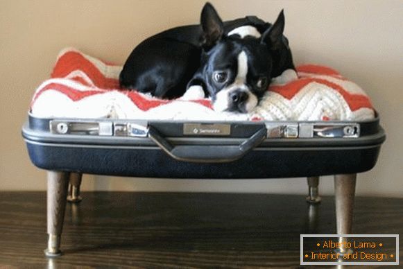 Място за куче от куфар