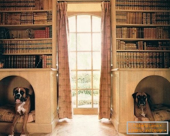 Къщички за кучета в стелажи за книги