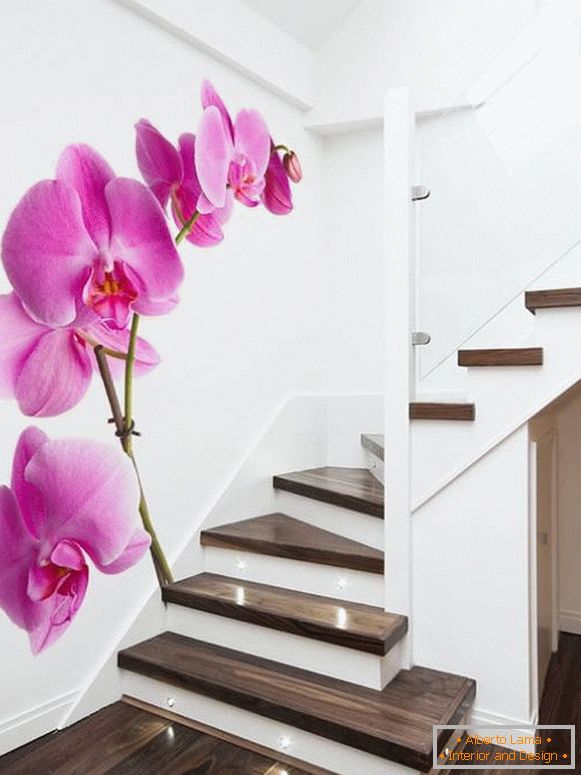 Снимки на орхидеи по стълбите