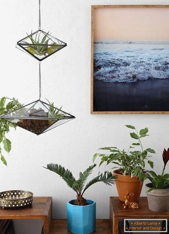 Мебелна украса - стъклени саксии с растения