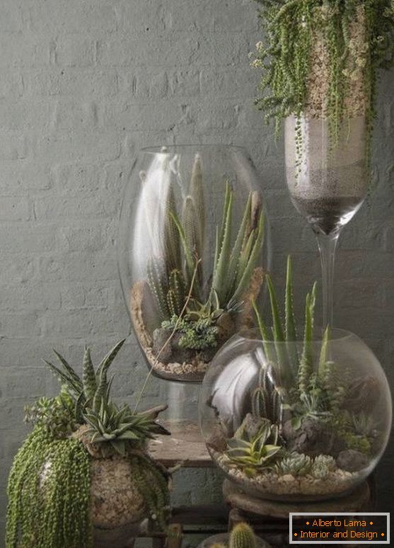 Растения в големи стъклени вази