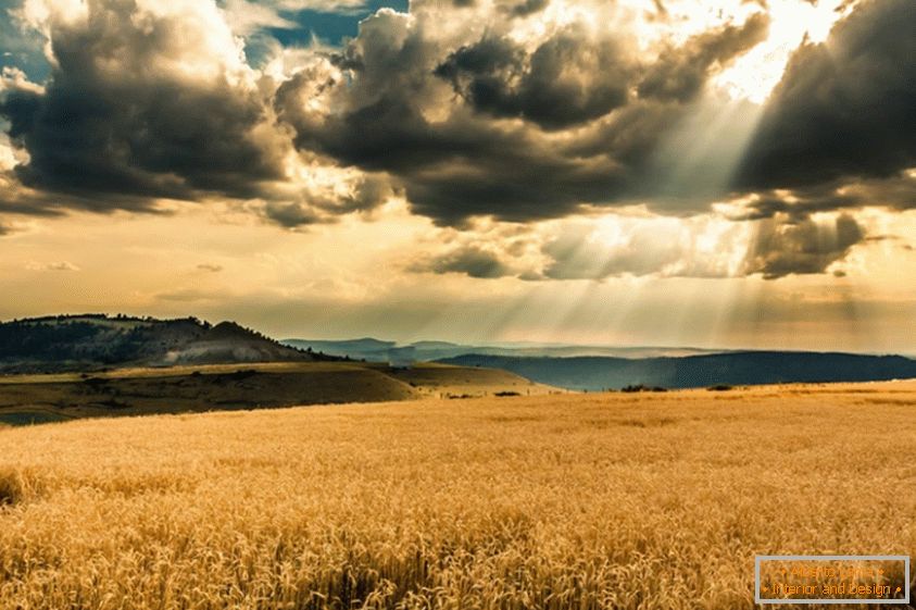 Слънцето минава през облаците, над пшеничното поле